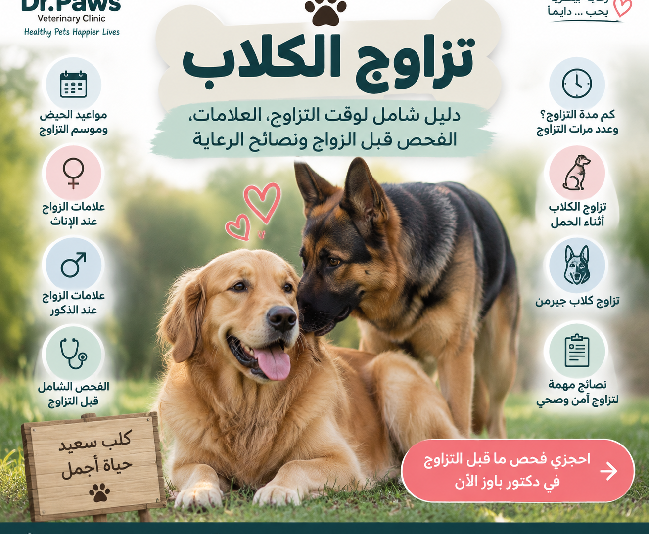 تزاوج الكلاب: الدليل الشامل للوقت المناسب، العلامات، الفحص قبل الزواج، ونصائح الرعاية
